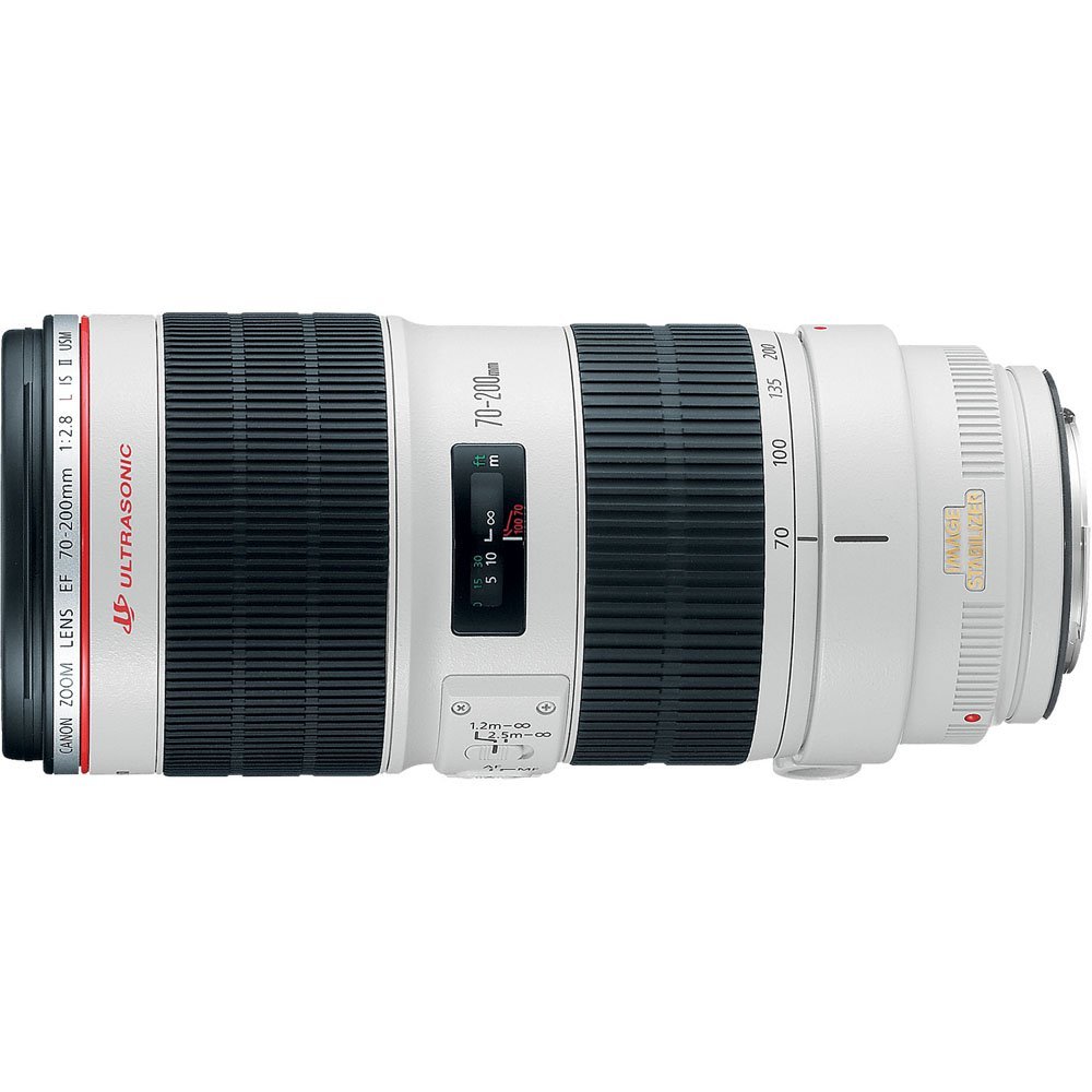 大勧め 70-200mm EF Canon F2.8L USM IS Ⅱ - キヤノン - labelians.fr